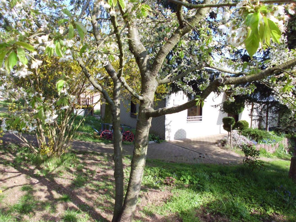 Ferienhaus Santo Villa Nordhausen Exterior photo